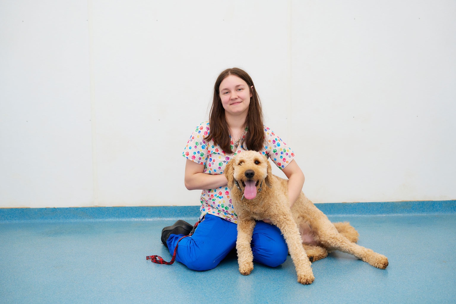 A dog sits on veterinary staff's lap for cuddles in Forest, VA.