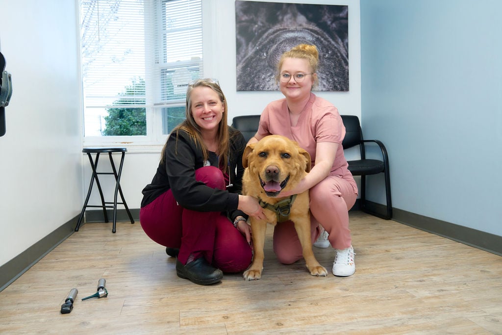 A lab poses with veterinary staff at Lake Forest Animal Hospital.